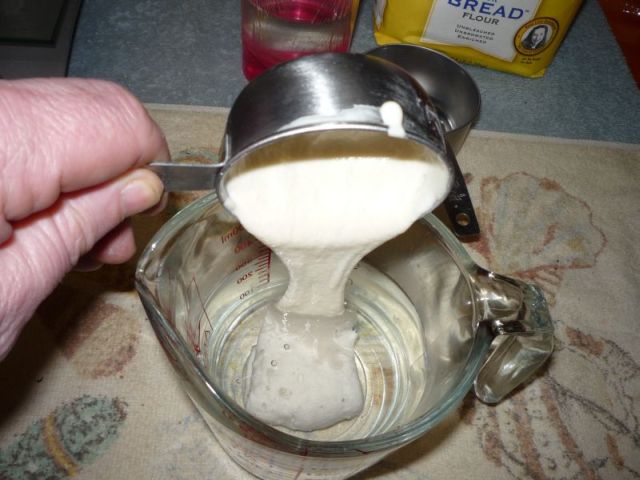 Adding sourdough to water in cup.